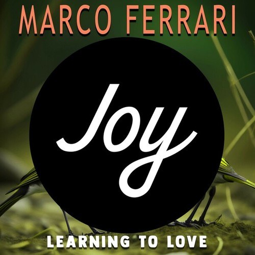 Marco Ferrari-Learning to Love