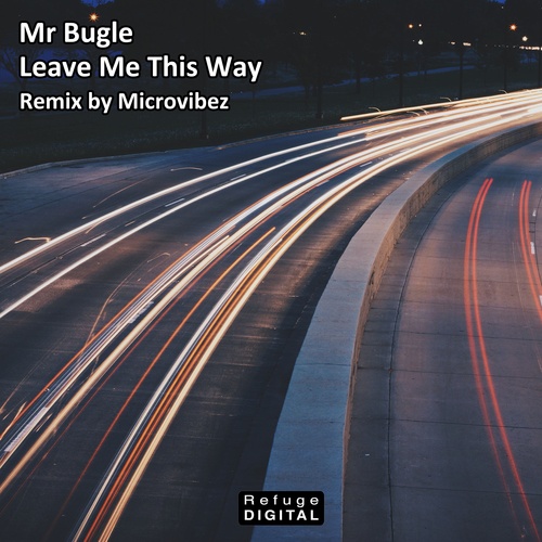 Mr Bugle, Microvibez-Leave Me This Way