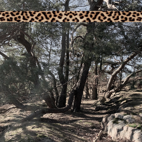 Andreas Foxx-Leopard Tape 005