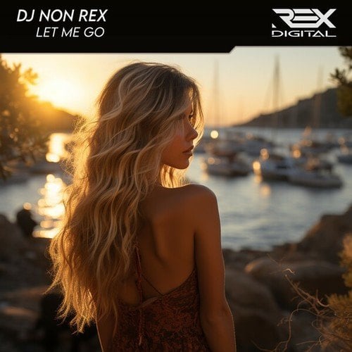 DJ Non Rex-Let Me Go