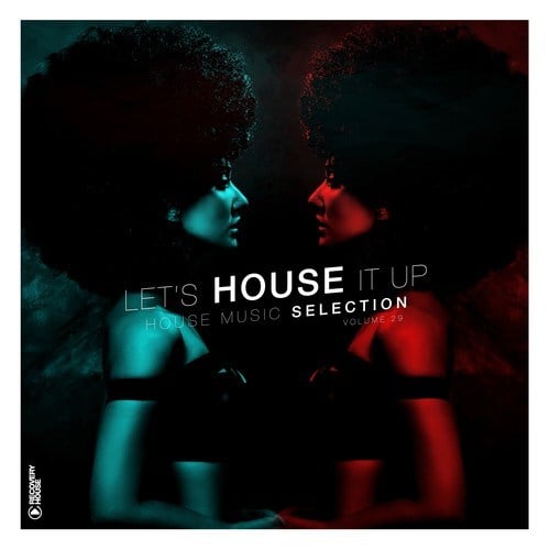 Various Artists-Let's House It Up, Vol. 29