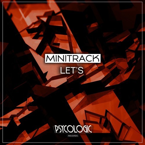 Minitrack-Let's