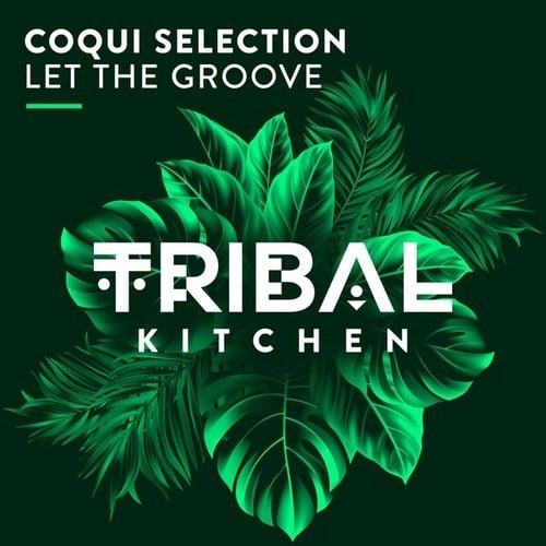 Coqui Selection-Let the Groove (Radio Edit)