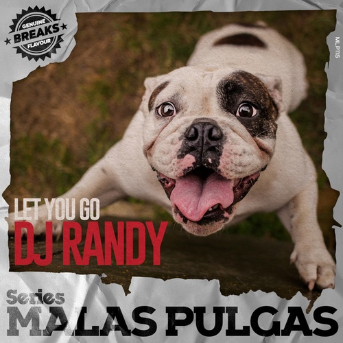 DJ Randy-Let You Go
