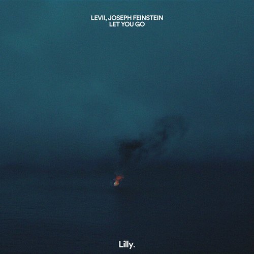 LEVII, Joseph Feinstein-Let You Go