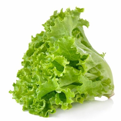Cradposh, JXTRHO-Lettuce