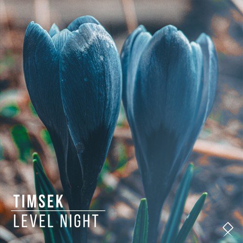 Timsek-Level Night