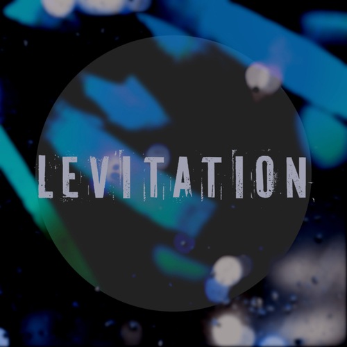Livistona-Levitation