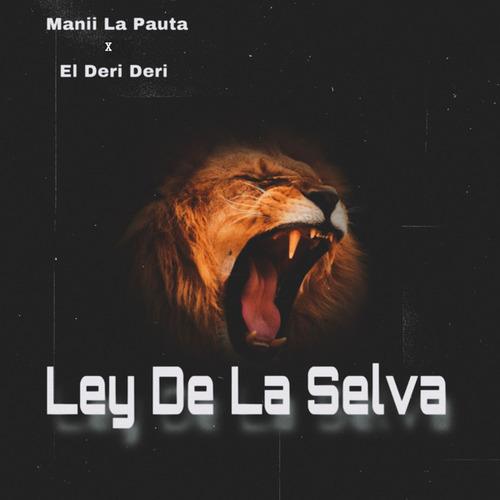 Manii La Pauta, El Deri Deri-Ley de la selva