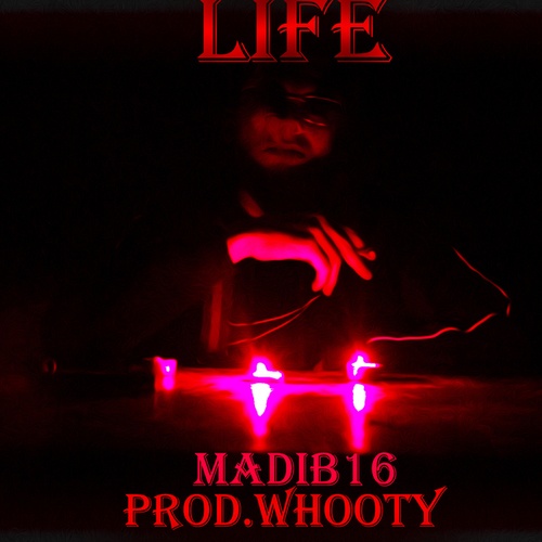 MaDIB16-Life