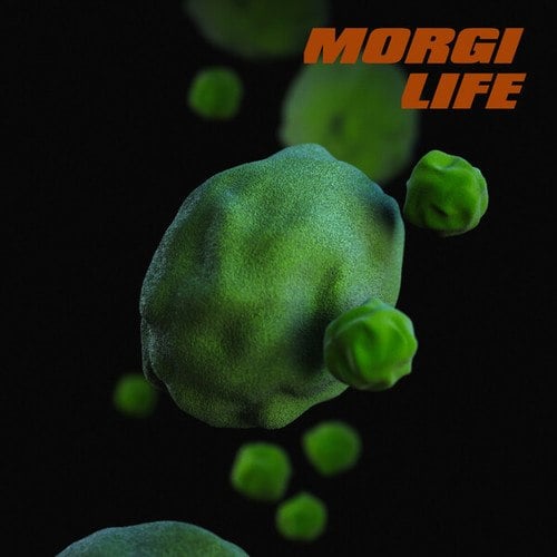 Morgi-Life