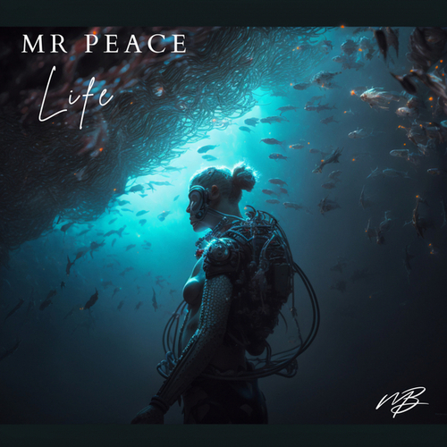 Mr Peace-Life