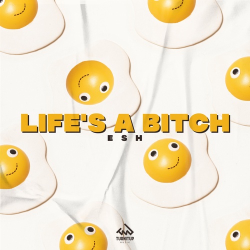 Life's a Bitch