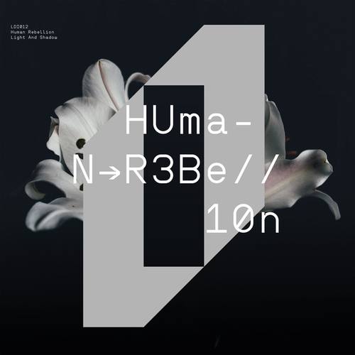 Human Rebellion, Terrestrial Access Network-Light and Shadow