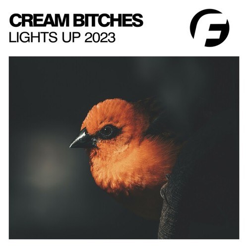 Cream Bitches, Mike La Costa-Lights Up (Mike La Costa Remix)