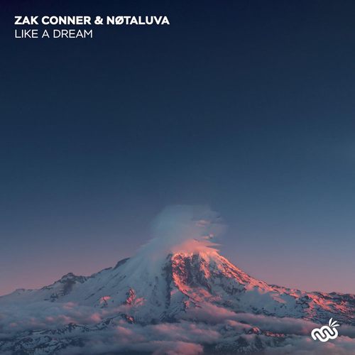 NØTALUVA, Zak Conner-Like A Dream