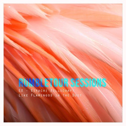 Like Flamingos in the Dust (Rumbletour Sessions)