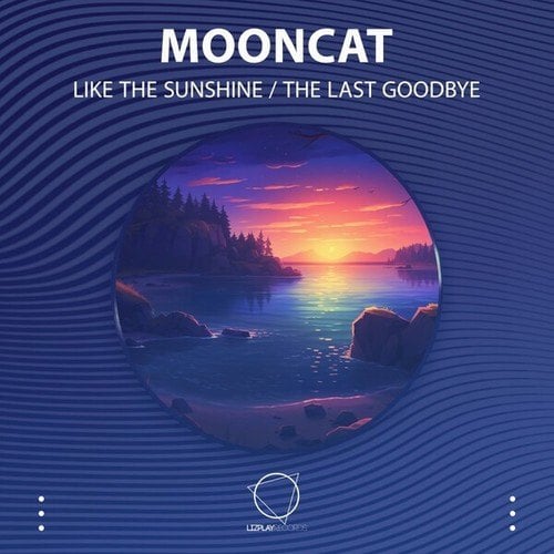 Like The Sunshine / The Last Goodbye