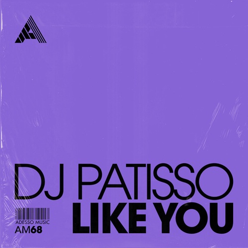 DJ Patisso-Like You