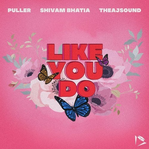 PULLER, Shivam Bhatia, Theajsound-Like You Do