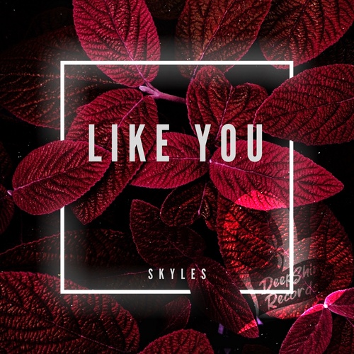 Skyles-Like You