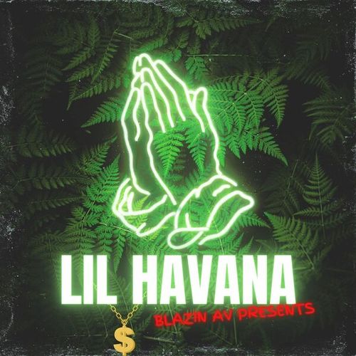 Blazin AudioVisual-Lil Havana