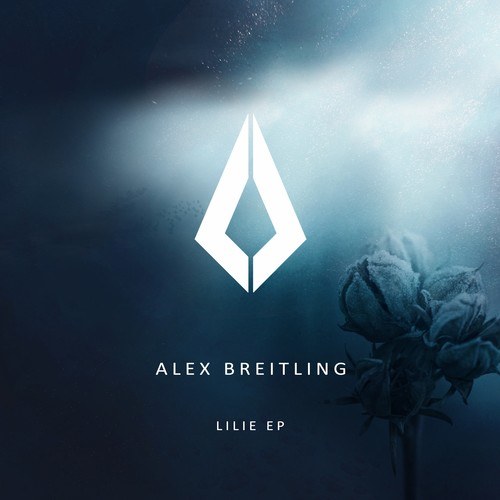 Alex Breitling-Lilie