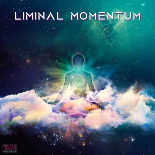 Various Artists-Liminal Momentum