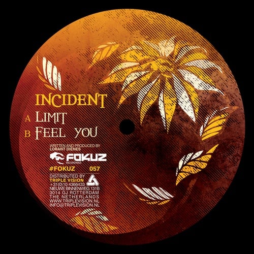 Incident-Limit / Feel You