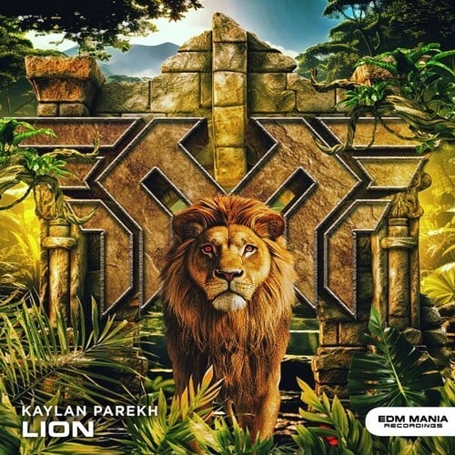 Lion (Radio Edit)