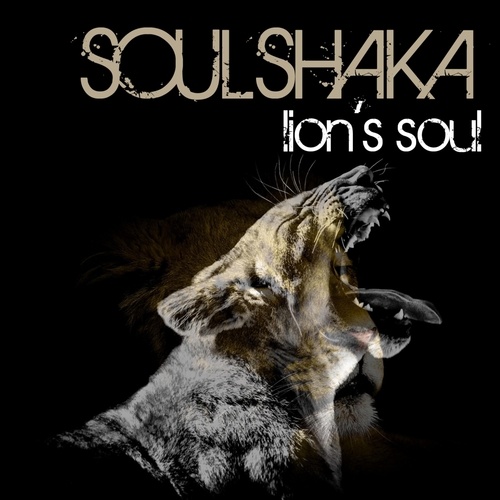 Soulshaka-Lion's Soul