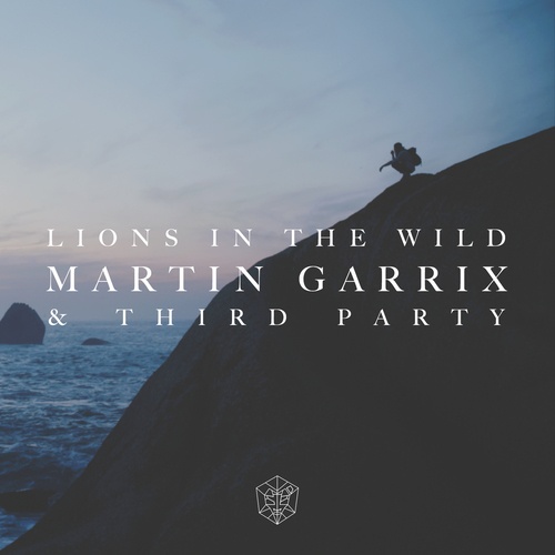 Martin Garrix, Third Party-Lions in the Wild