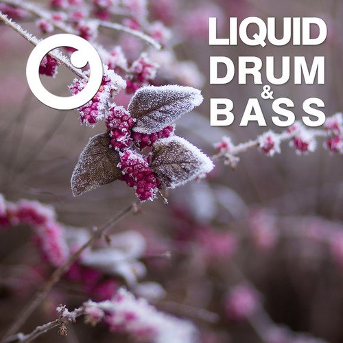 Dreazz-Liquid Drum & Bass Sessions 2020 Vol 11 : The Mix