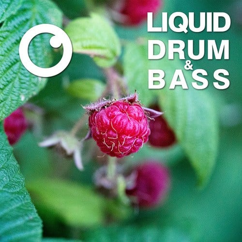 Dreazz-Liquid Drum & Bass Sessions 2020 Vol 13 : The Mix