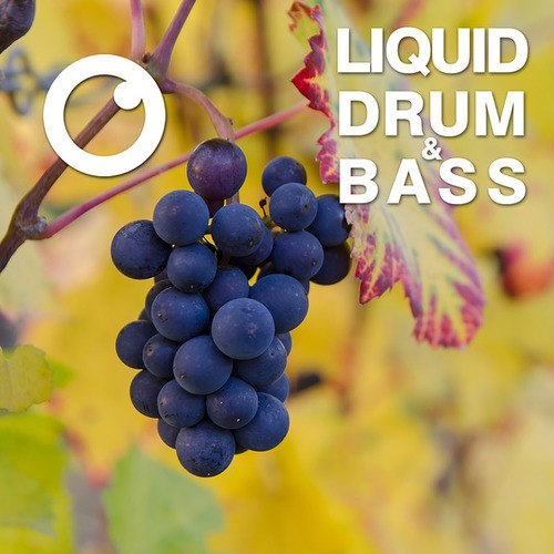Dreazz-Liquid Drum & Bass Sessions 2020 Vol 15 : The Mix