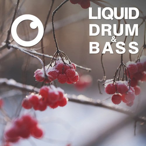 Dreazz-Liquid Drum & Bass Sessions 2020 Vol 17 : The Mix