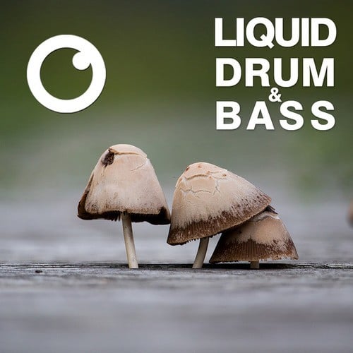 Dreazz-Liquid Drum & Bass Sessions 2020 Vol 20 : The Mix