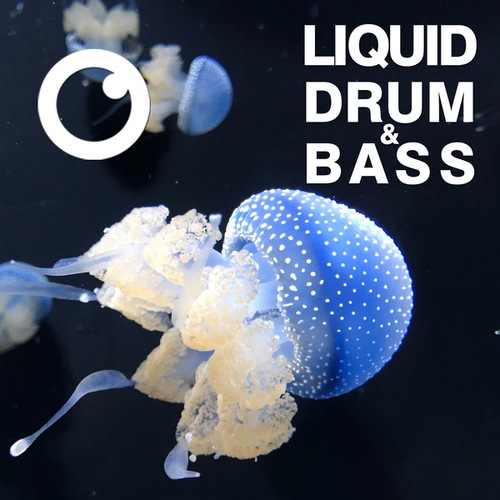 Dreazz-Liquid Drum & Bass Sessions 2020 Vol 23 : The Mix