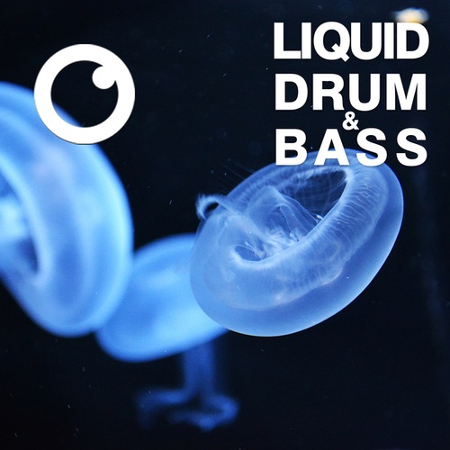 Dreazz-Liquid Drum & Bass Sessions 2020 Vol 25 : The Mix