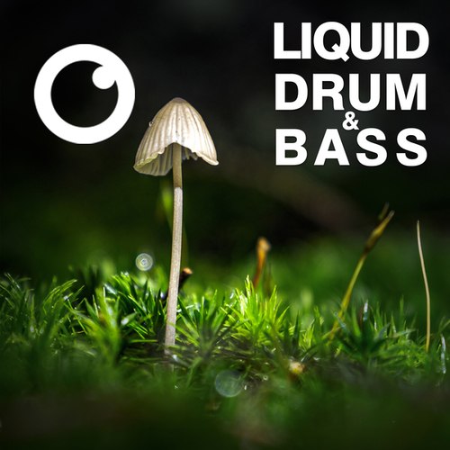 Dreazz-Liquid Drum & Bass Sessions 2020 Vol 30 : The Mix
