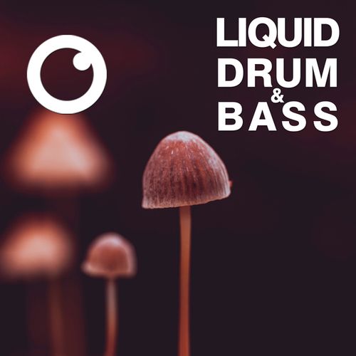 Dreazz-Liquid Drum & Bass Sessions 2020 Vol 34 : The Mix