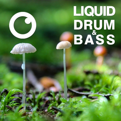 Dreazz-Liquid Drum & Bass Sessions 2020 Vol 36 : The Mix