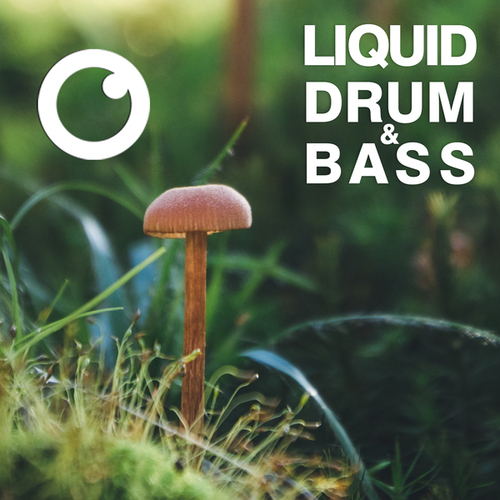 Dreazz-Liquid Drum & Bass Sessions 2020 Vol 39 : The Mix