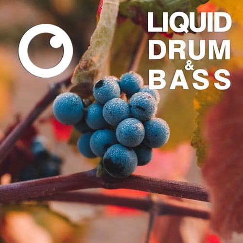 Dreazz-Liquid Drum & Bass Sessions 2021 Vol 42 : The Mix
