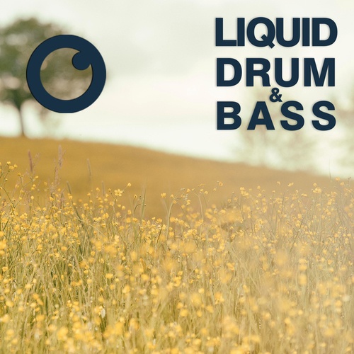 Dreazz-Liquid Drum & Bass Sessions 2021 Vol 47 : The Mix