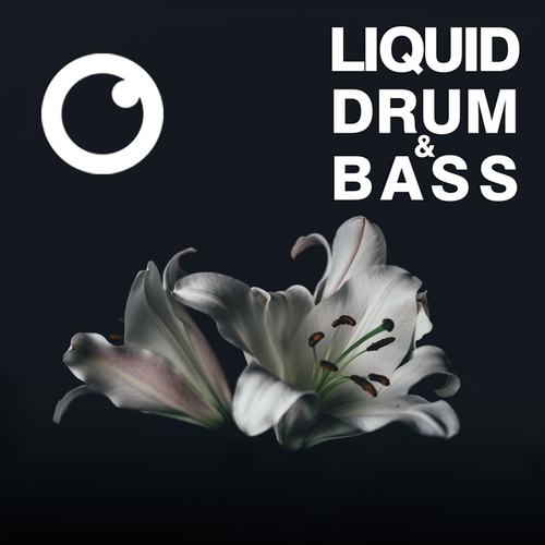 Dreazz-Liquid Drum & Bass Sessions #49
