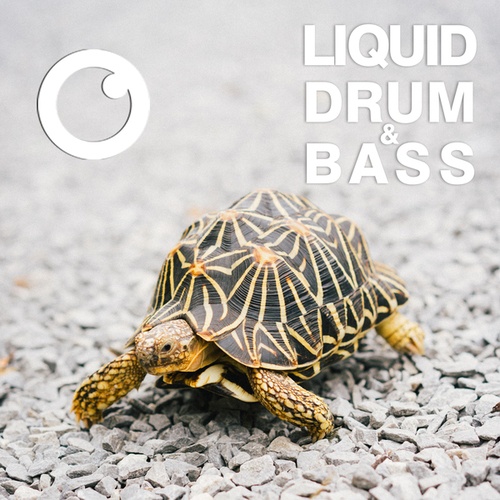 Dreazz-Liquid Drum & Bass Sessions #53