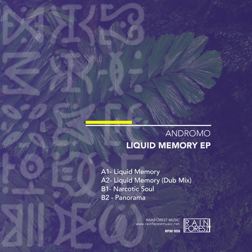 Andromo-Liquid Memory