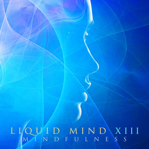 Liquid Mind XIII: Mindfulness