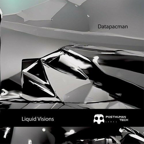 Datapacman-Liquid Visions